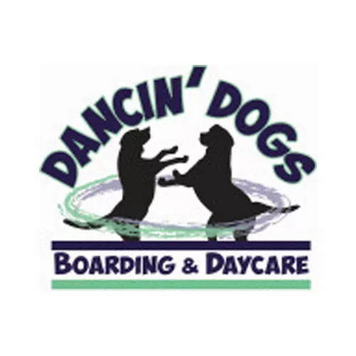 Dancin' Dogs Boarding & Daycare, Florida, Newberry